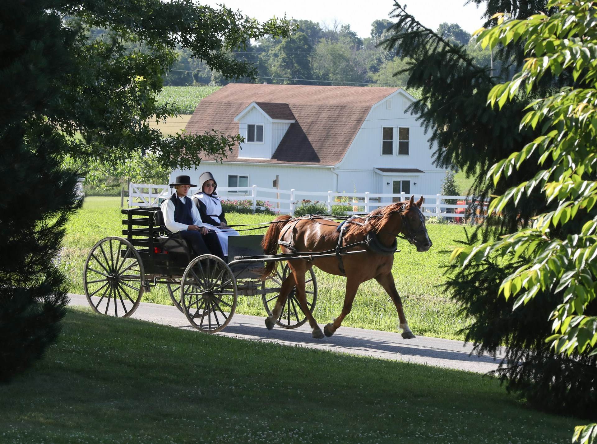Amish traditions
